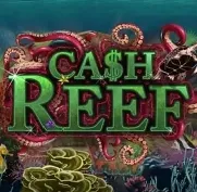 Sgcashreef на Cosmobet